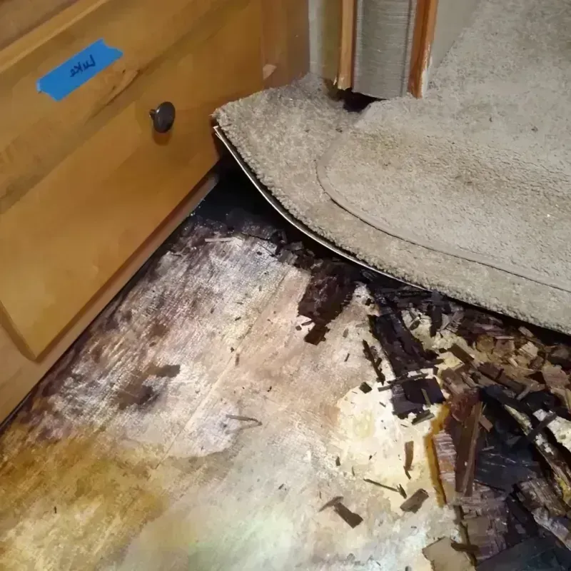 Wood Floor Water Damage in Lester Prairie, MN